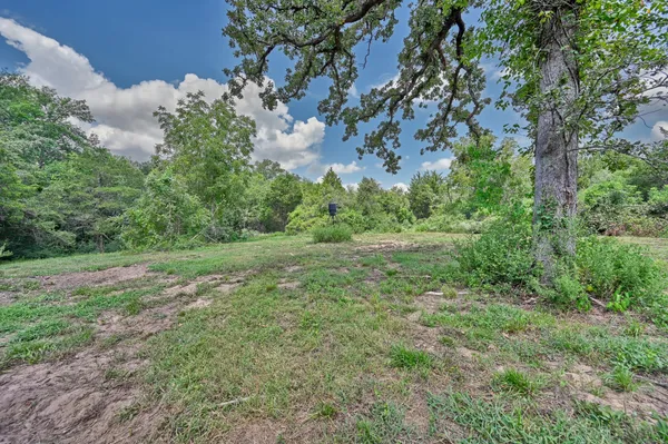 a view of a lush green space