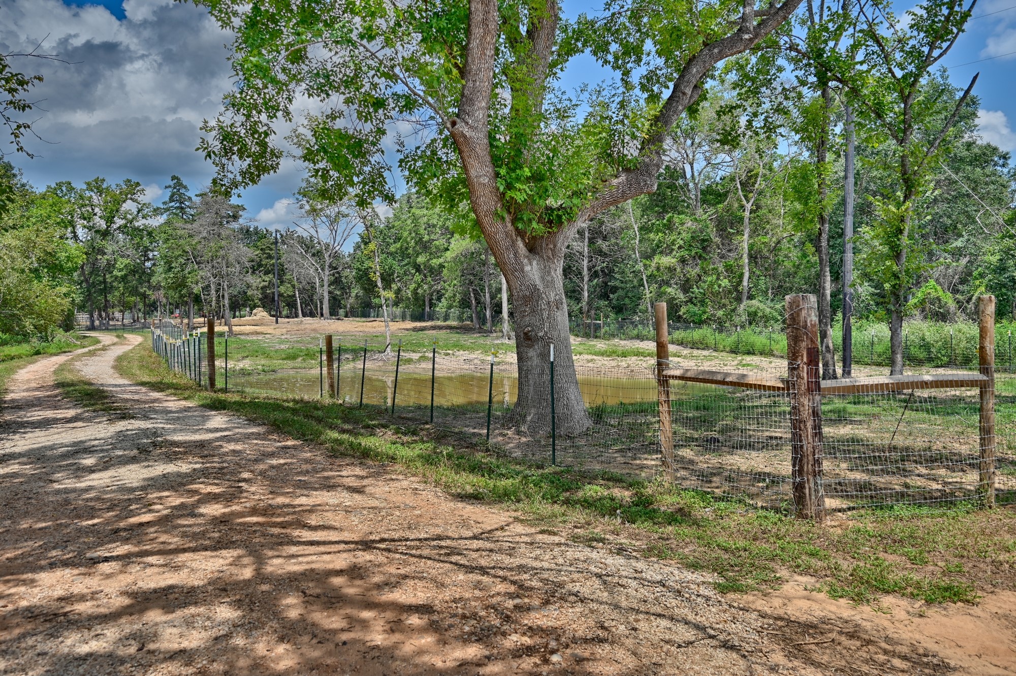 2612 Tiemann Road New Ulm, TX 78950 - Photo 4 of 39 a view of a park