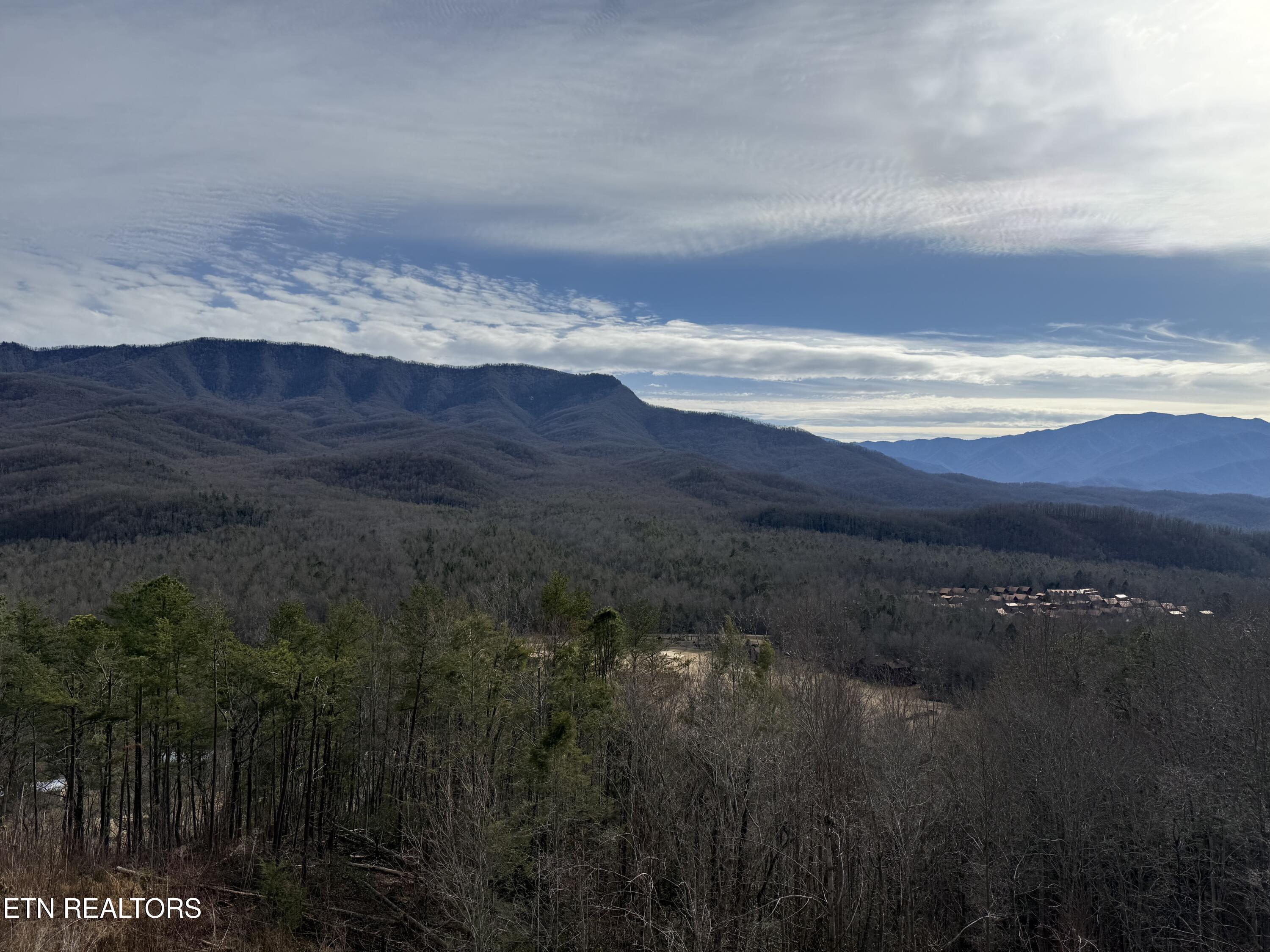 3710 Weber Road, Unit 303E Gatlinburg, TN 37738 - Photo 15 of 24 IMG_2611