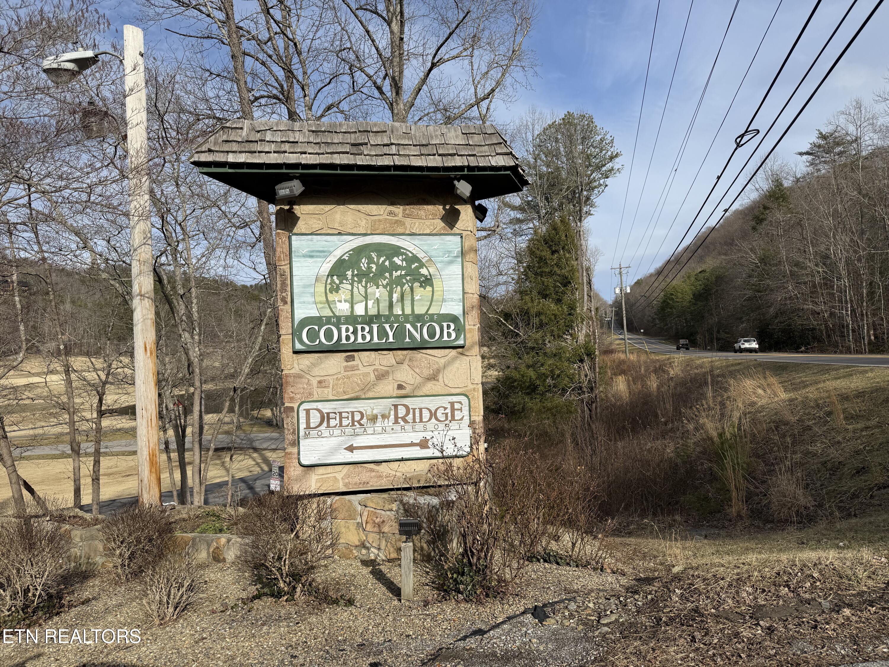 3710 Weber Road, Unit 303E Gatlinburg, TN 37738 - Photo 18 of 24 IMG_2619