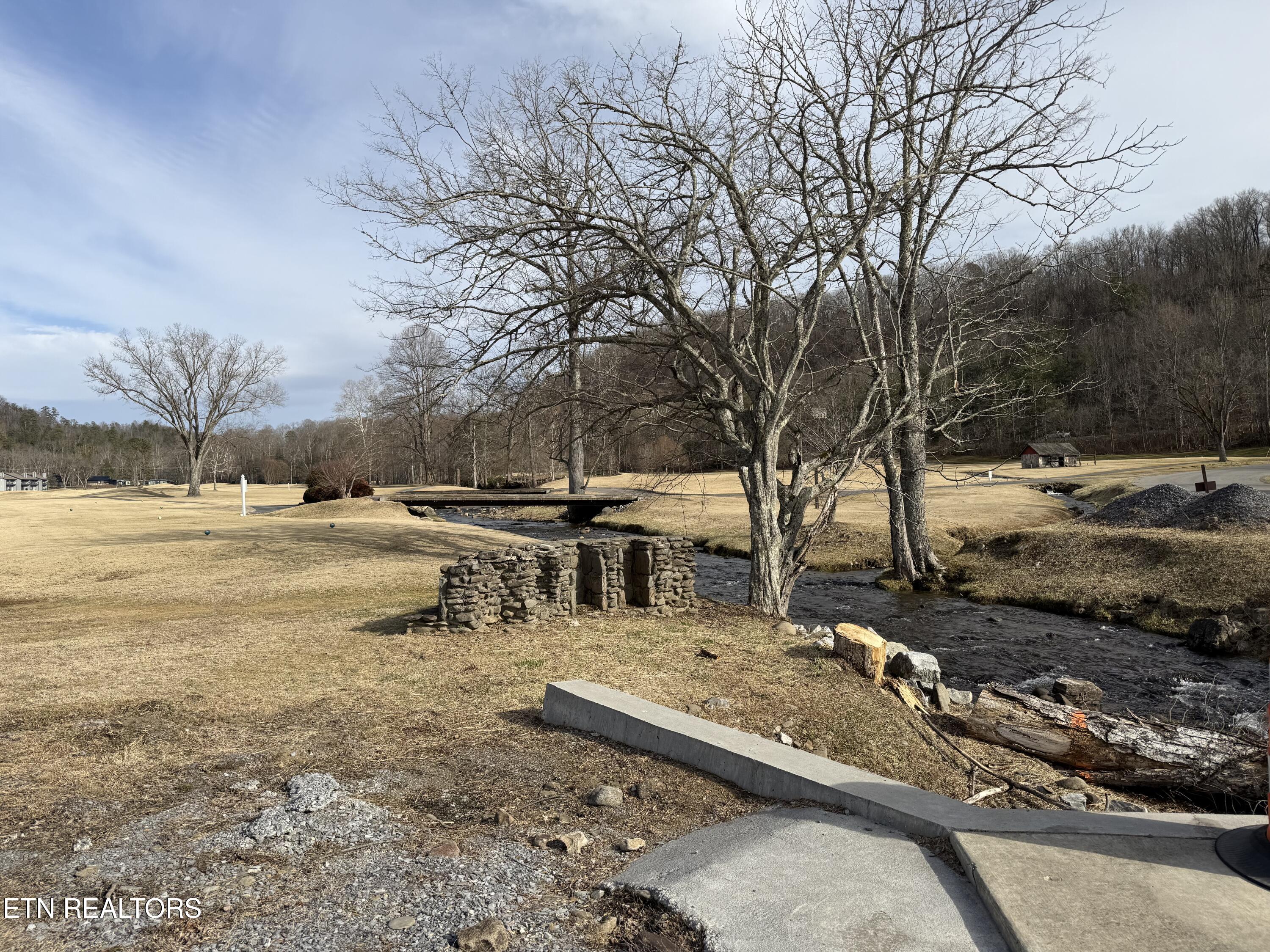 3710 Weber Road, Unit 303E Gatlinburg, TN 37738 - Photo 21 of 24 IMG_2617