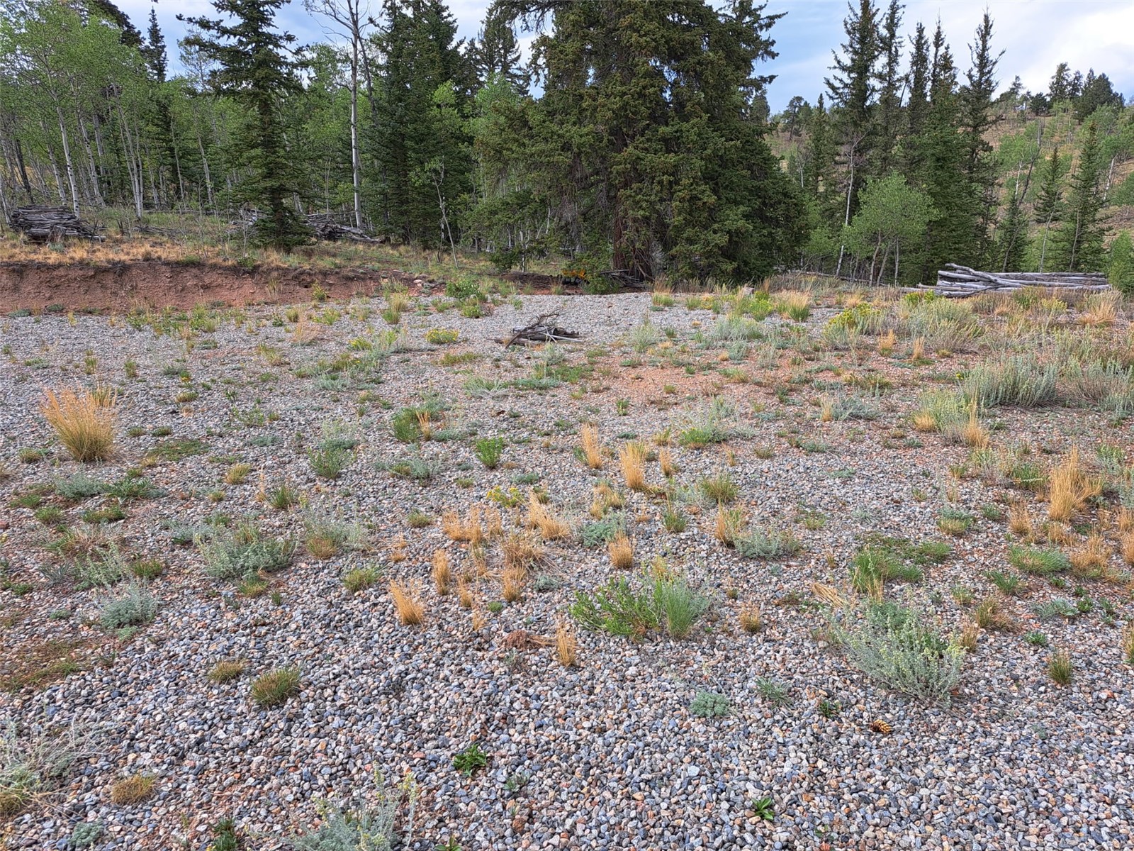 6206 Remington Road Como, CO 80432 - Photo 16 of 29 Gallery Image 16
