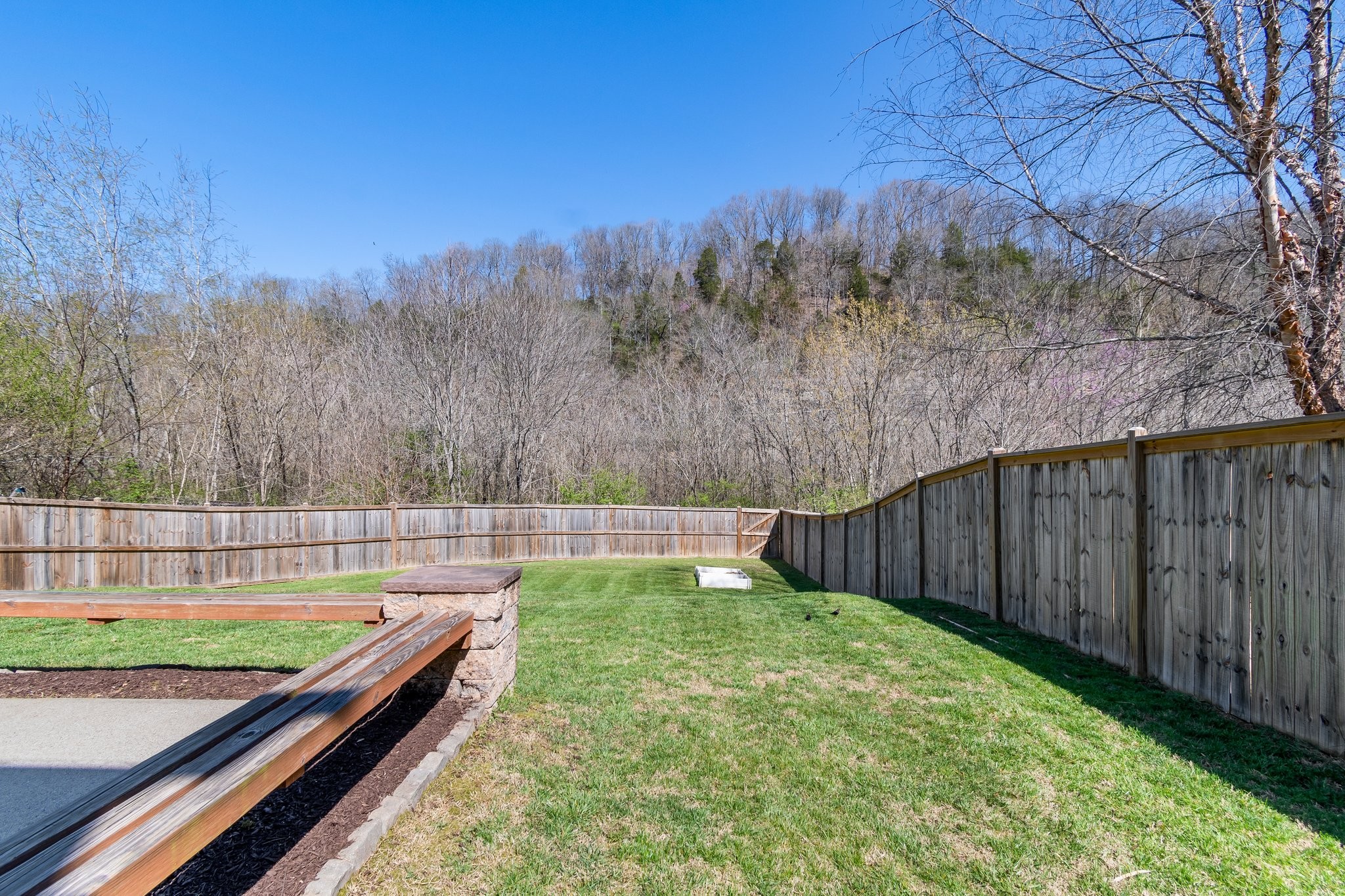 7245 Riverfront Drive Nashville, TN 37221 - Photo 30 of 74 a view of a backyard with a large tree