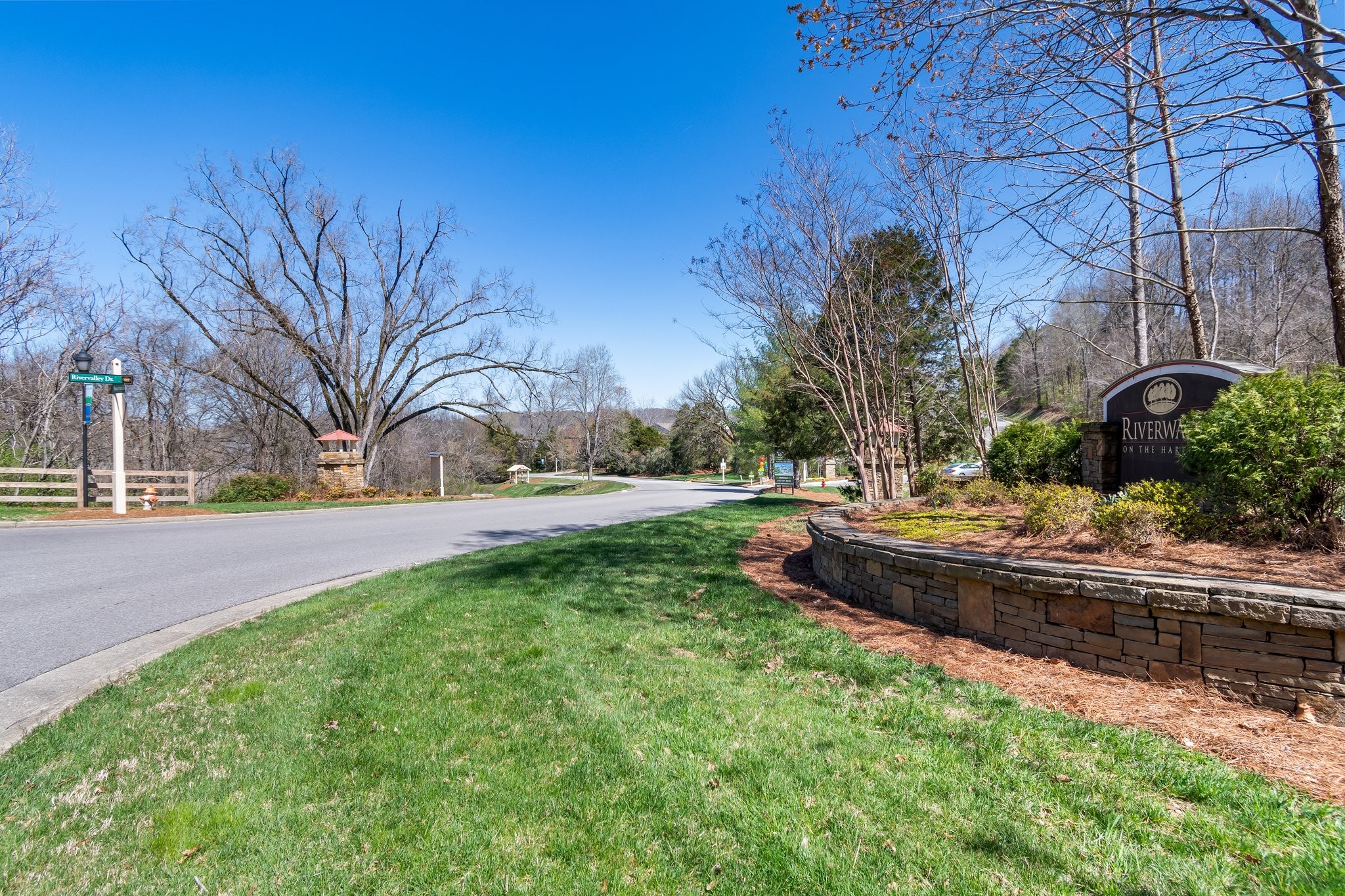 7245 Riverfront Drive Nashville, TN 37221 - Photo 71 of 74 a view of backyard with fountain plants and large trees