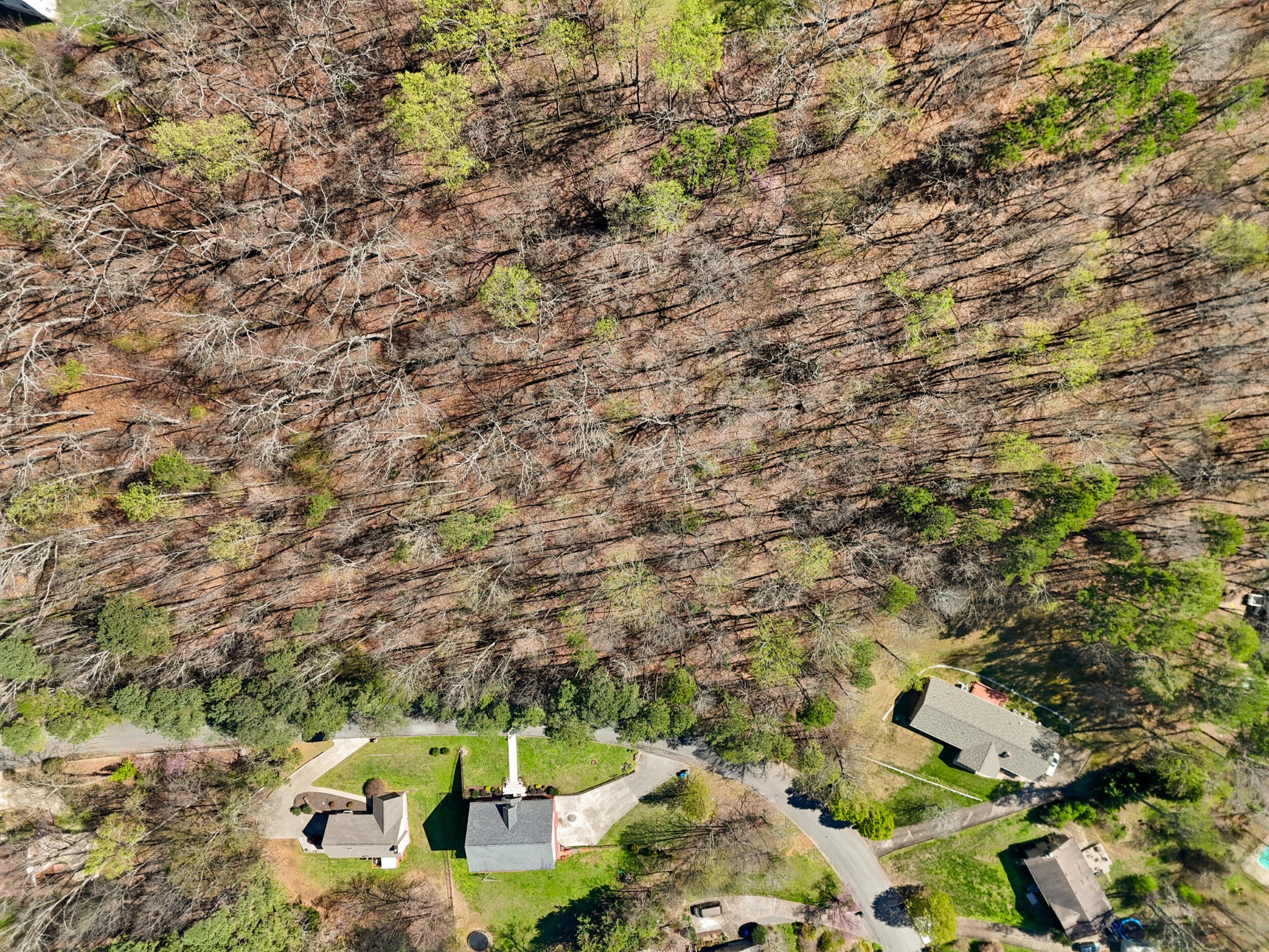 1718 Spring View Lane Chattanooga, TN 37421 - Photo 15 of 17 Gallery Image 15