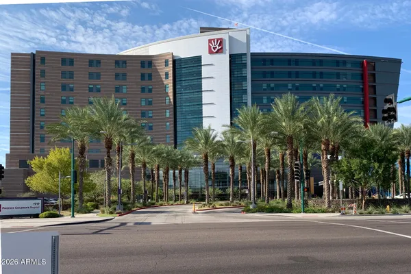 a palm tree in front of a building