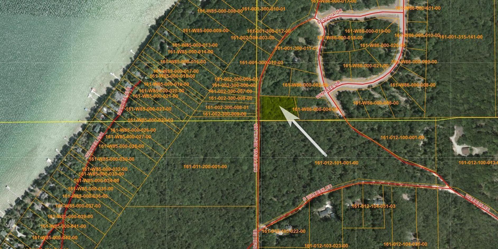 983 Chippewa Beach Road Indian River, MI 49749 - Photo 10 of 10 Gallery Image 10