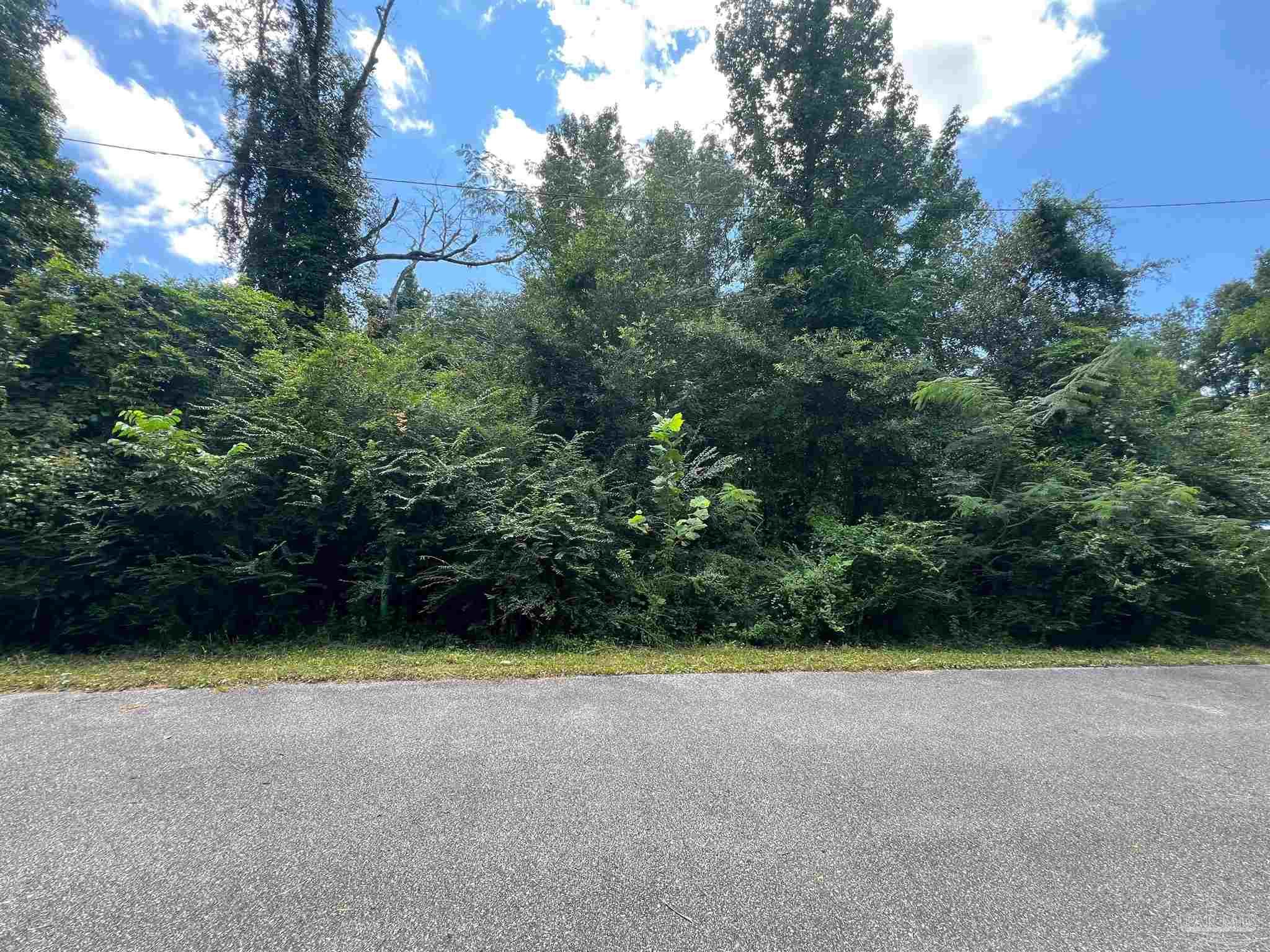 1100 McKinnonville Road Molino, FL 32577 - Photo 1 of 14 a view of outdoor space and yard
