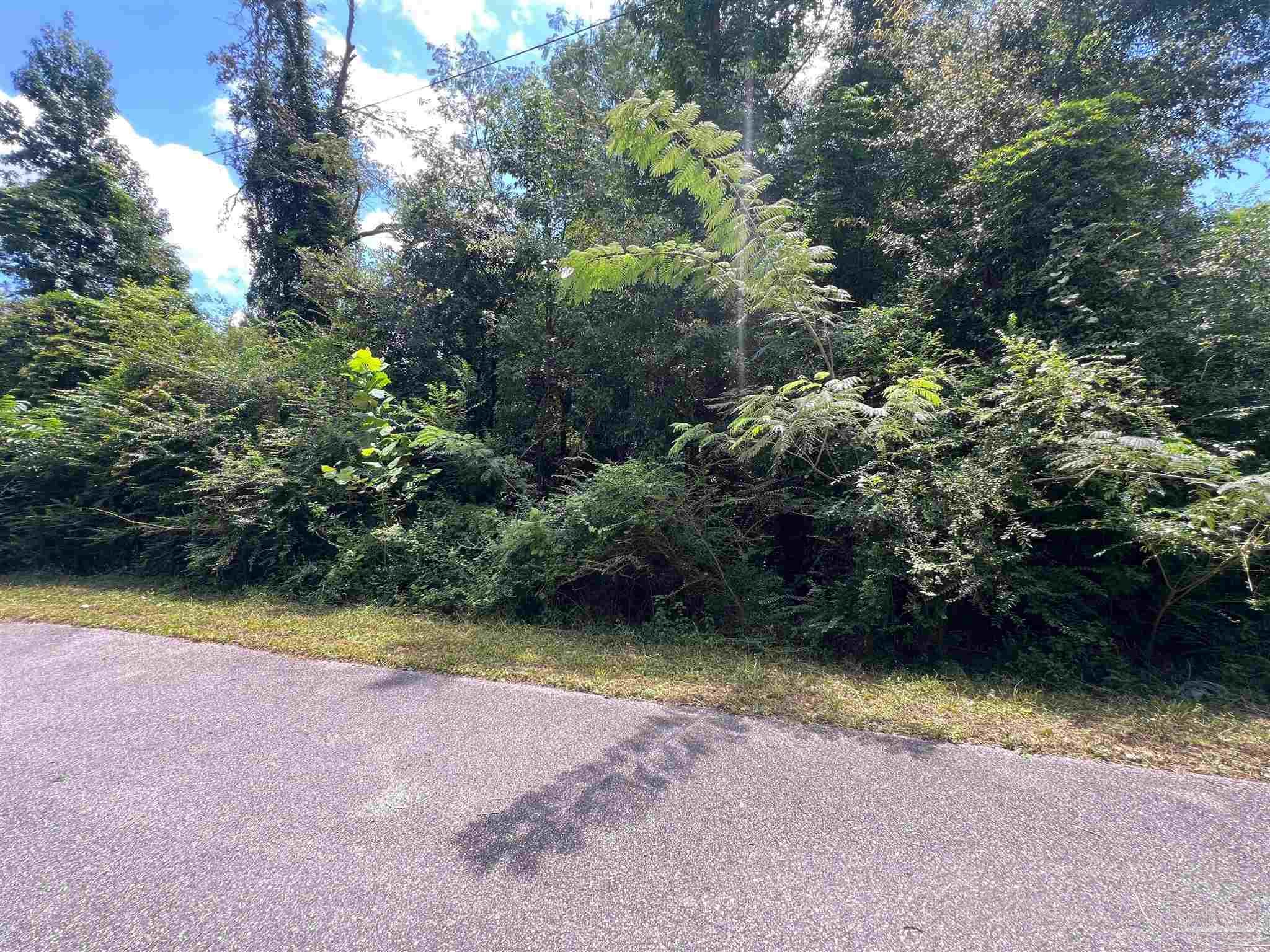 1100 McKinnonville Road Molino, FL 32577 - Photo 2 of 14 a view of swimming pool with a yard