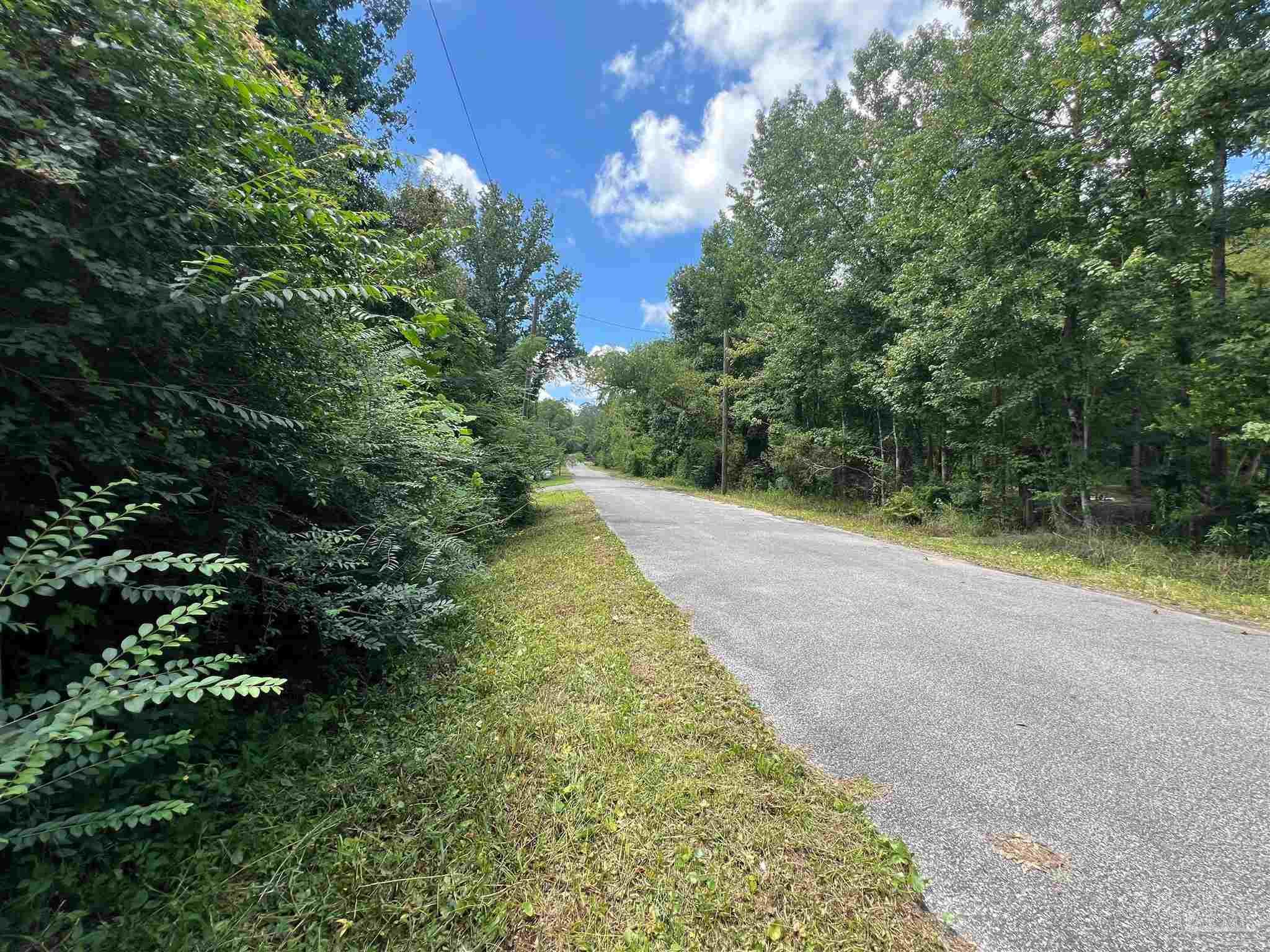 1100 McKinnonville Road Molino, FL 32577 - Photo 4 of 14 a view of a yard with plants and large trees