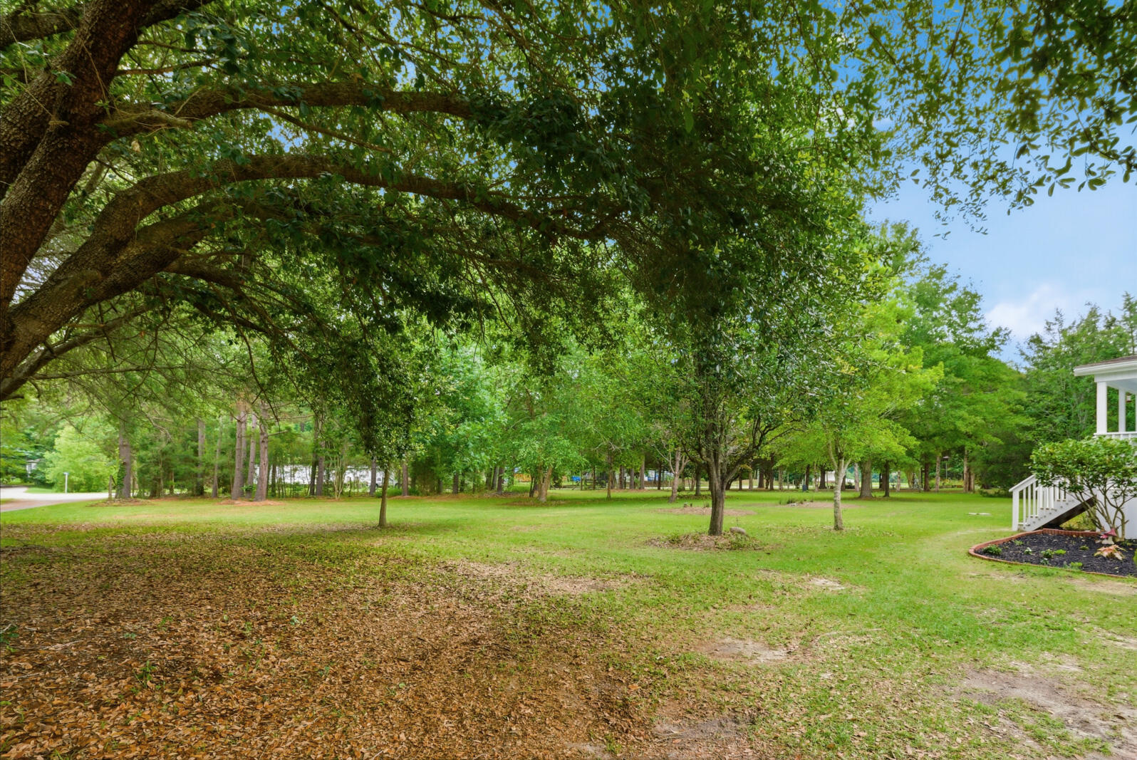 355 Trinity Church Road St. Stephen, SC 29479 - Photo 8 of 62 8