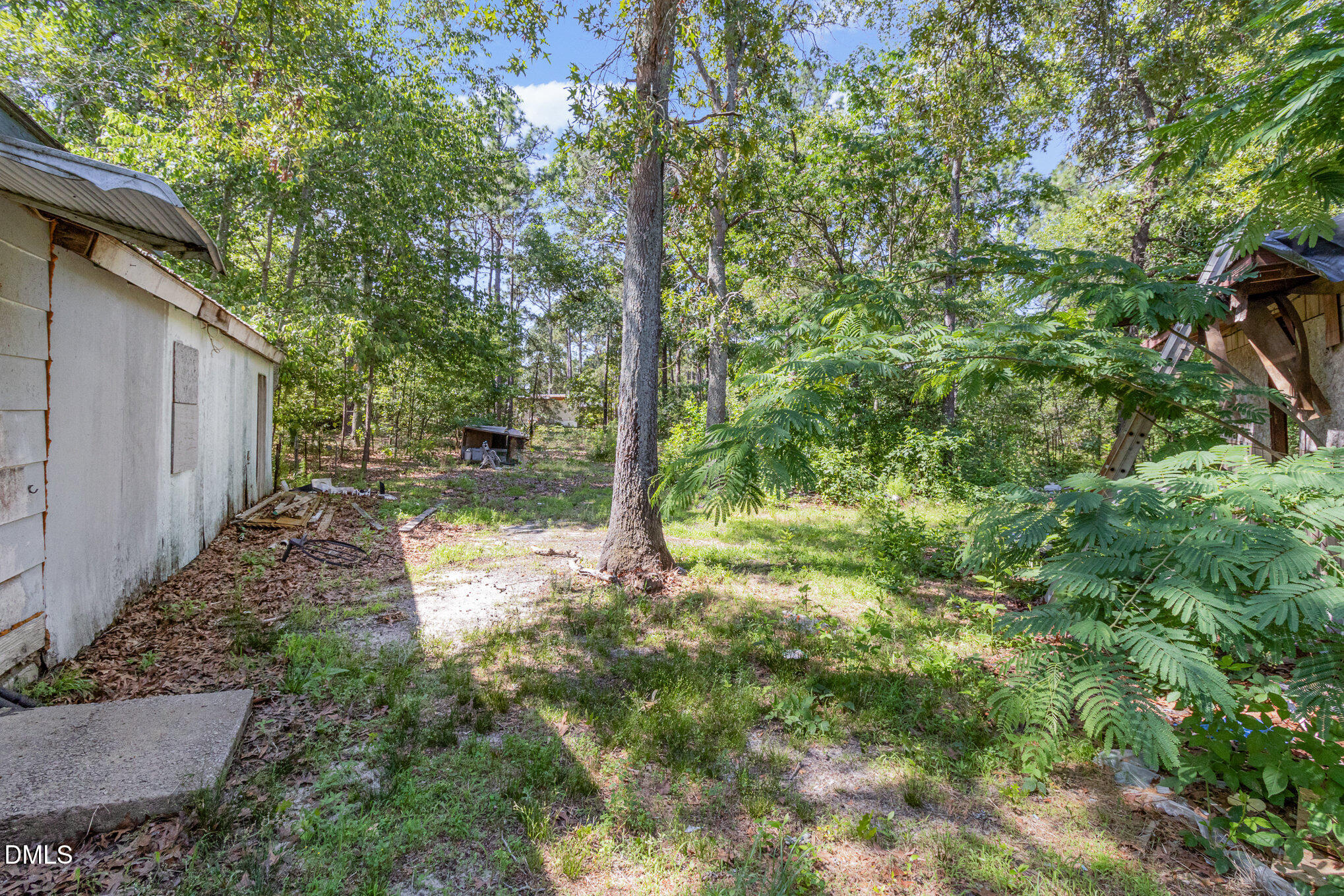495 Horseshoe Road Aberdeen, NC 28315 - Photo 14 of 16 a view of a yard with plants and large trees