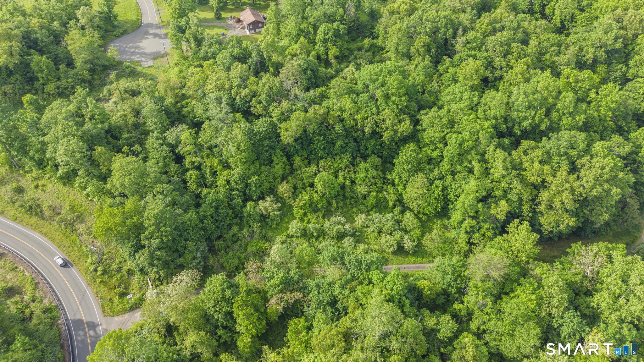 379 Brushy Plain Road Branford, CT 06405 - Photo 16 of 23 a view of a lush green forest with lots of trees