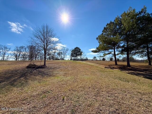 2352 McClendon Road Magnolia, MS 39652 - Photo 31 of 34 IMG_6930