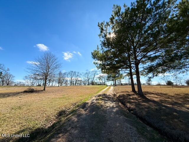 2352 McClendon Road Magnolia, MS 39652 - Photo 32 of 34 IMG_6931