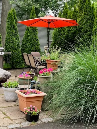 a view of a backyard with plants and a fountain