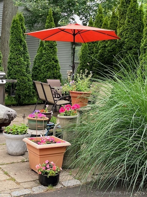 245 Alps Road Branford, CT 06405 - Photo 14 of 15