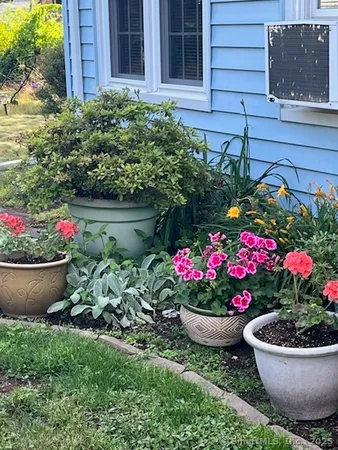 a view of a garden with flowers and flowers