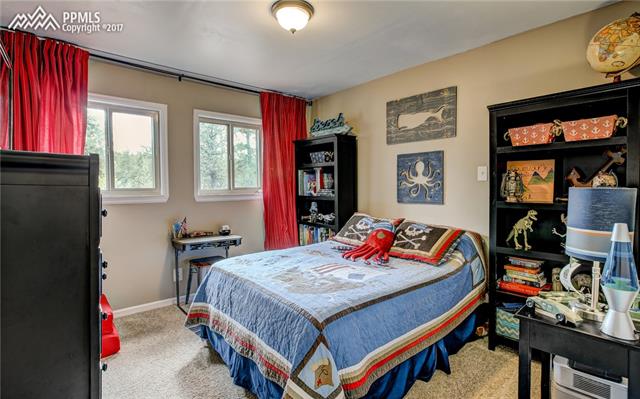 357 Kutsu Ridge Road Florissant, CO 80816 - Photo 18 of 27