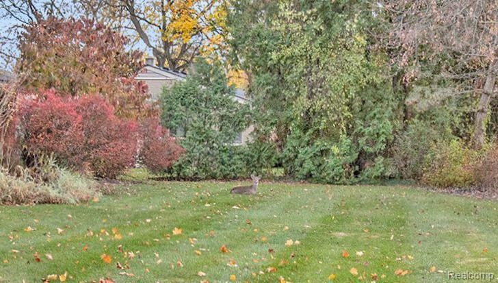 5730 Burnham Road Bloomfield Hills, MI 48301 - Photo 21 of 22