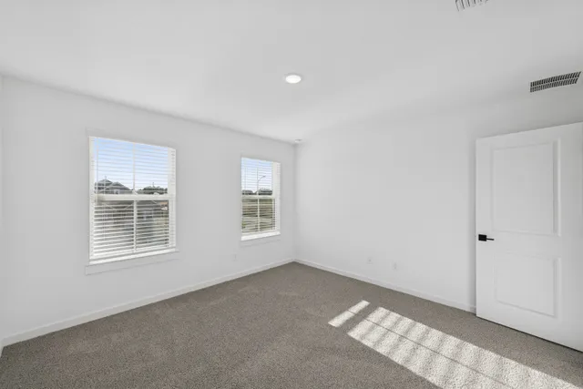 a picture of a rug with a white wall and a potted plant