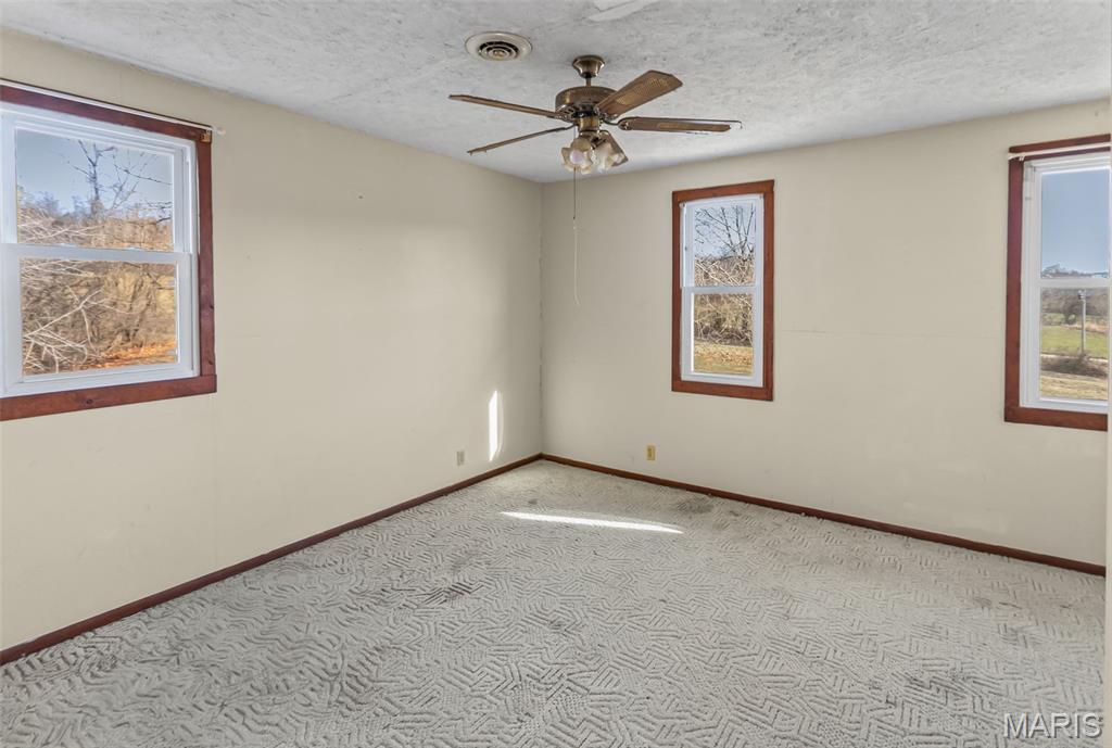 2998 Gresham Hollow Road Hamburg, IL 62045 - Photo 43 of 80