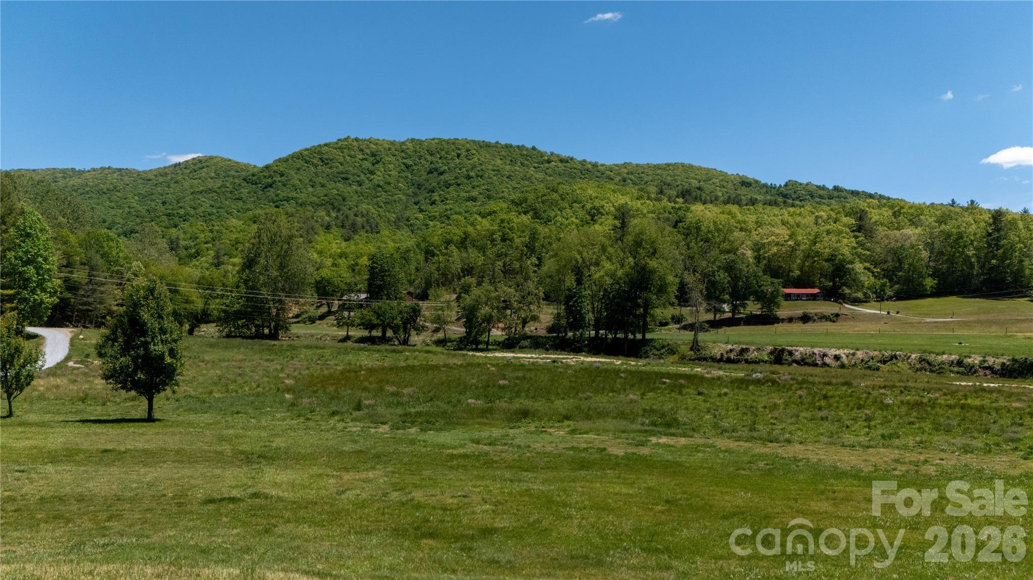 93 Franklin Crest Road Spruce Pine, NC 28777 - Photo 13 of 47 a view of grassy field with trees