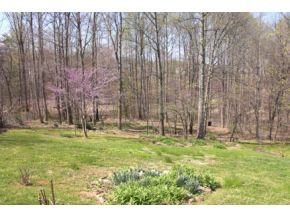125 Hall Road Jonesborough, TN 37659 - Photo 18 of 19 Photo 18