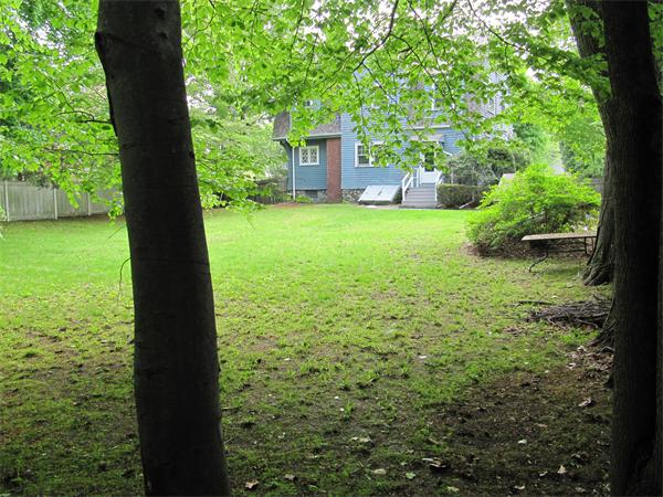 25 Forest Street Lexington, MA 02421 - Photo 7 of 8