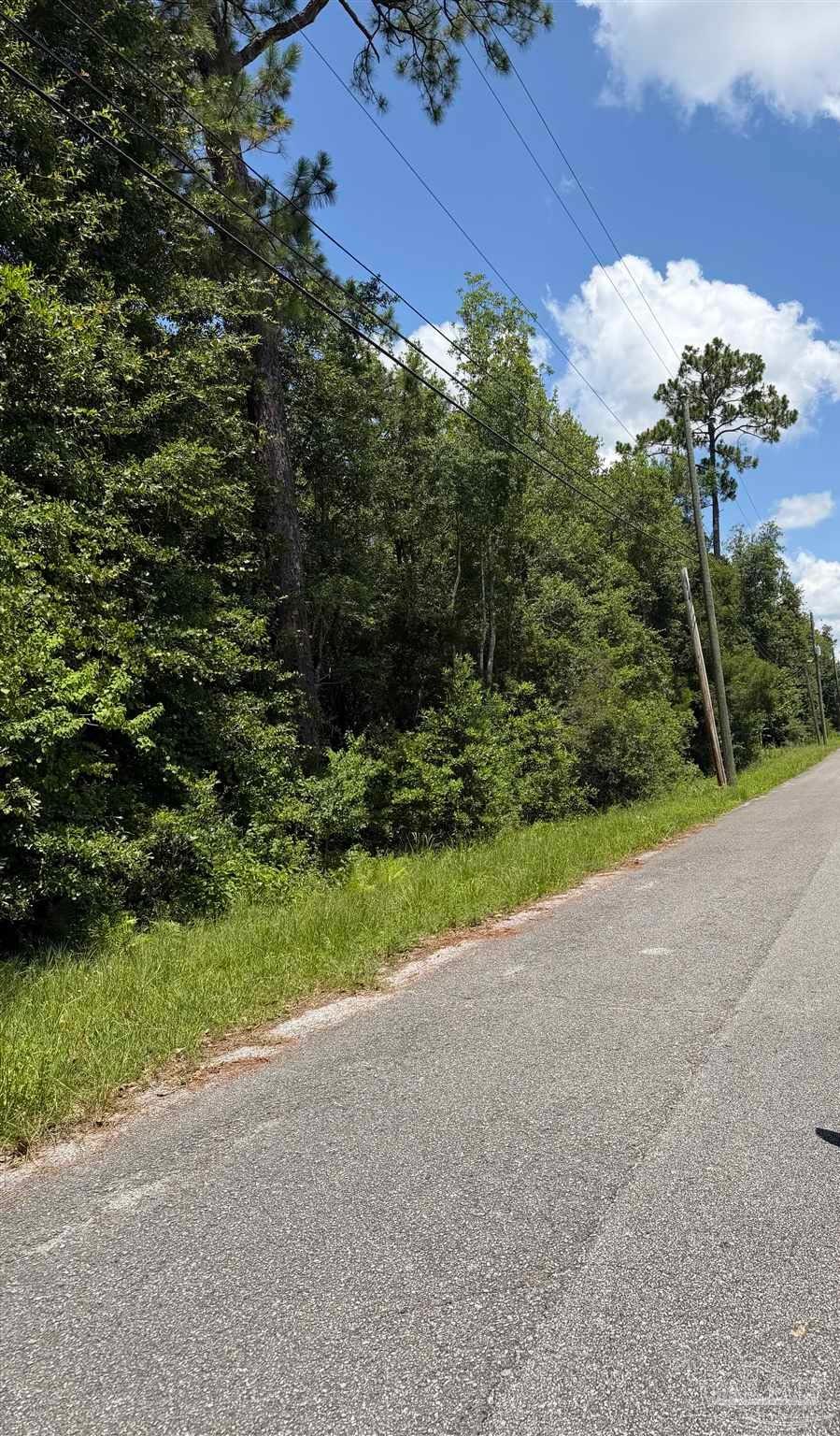 0 Patterson Road Milton, FL 32570 - Photo 6 of 8