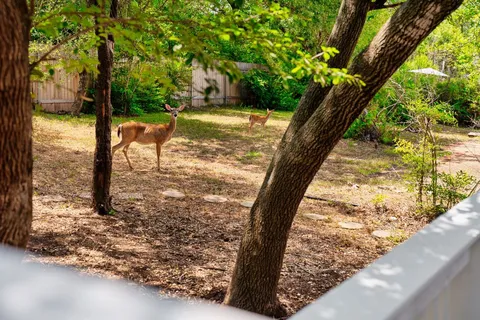a view of a chairs and table in the balcony