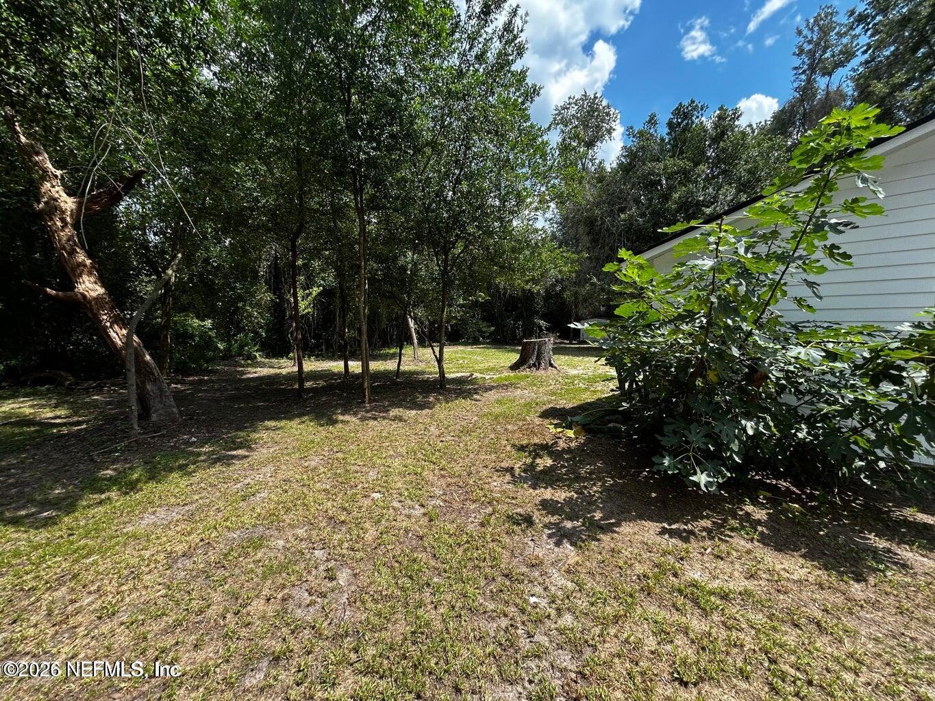 4774 Leopard Circle Middleburg, FL 32068 - Photo 6 of 50 a view of swimming pool with a yard