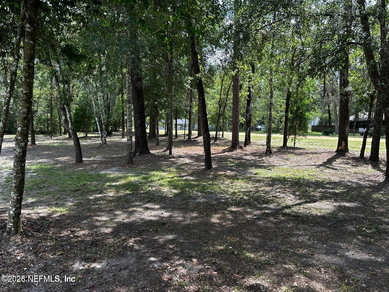 4774 Leopard Circle Middleburg, FL 32068 - Photo 7 of 50 a view of park space