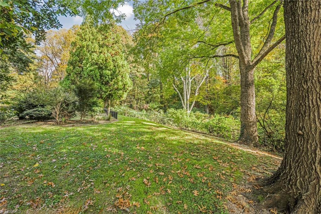 4175 Ebert Road Winston-Salem, NC 27127 - Photo 40 of 44