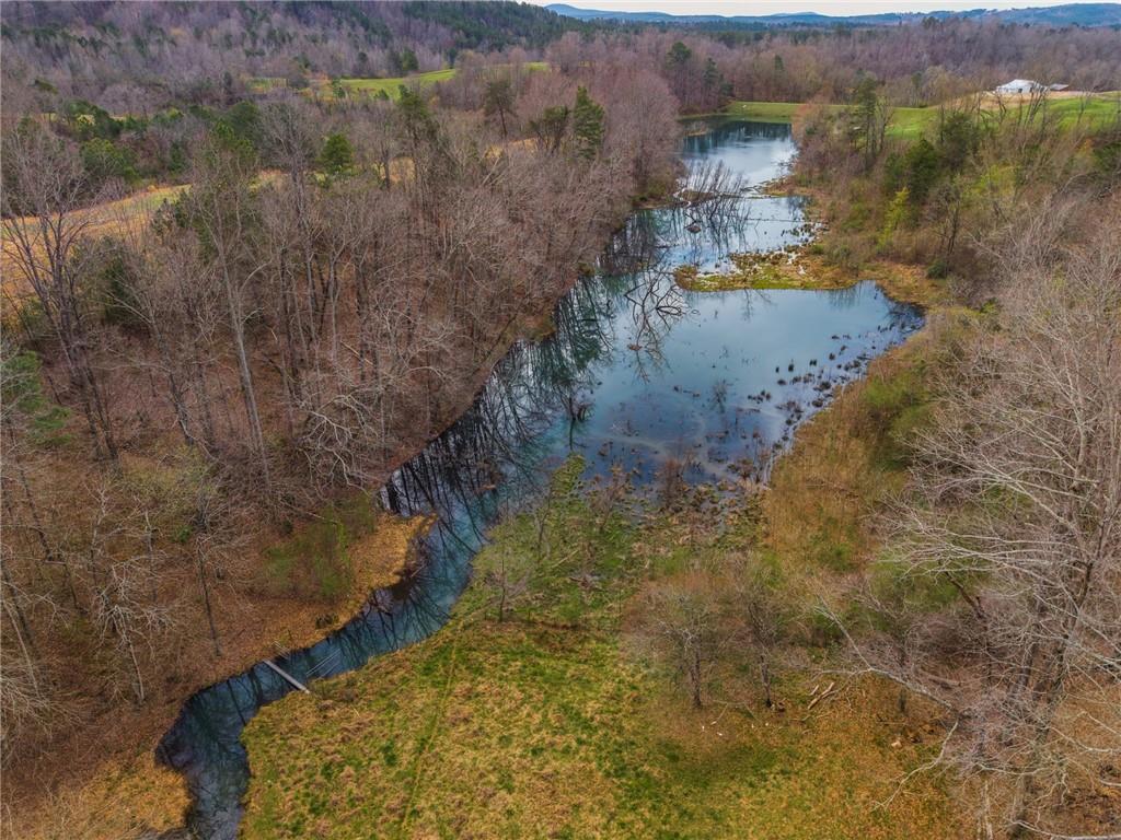 723 Sulphur Springs Road Southeast Fairmount, GA 30139 - Photo 64 of 67