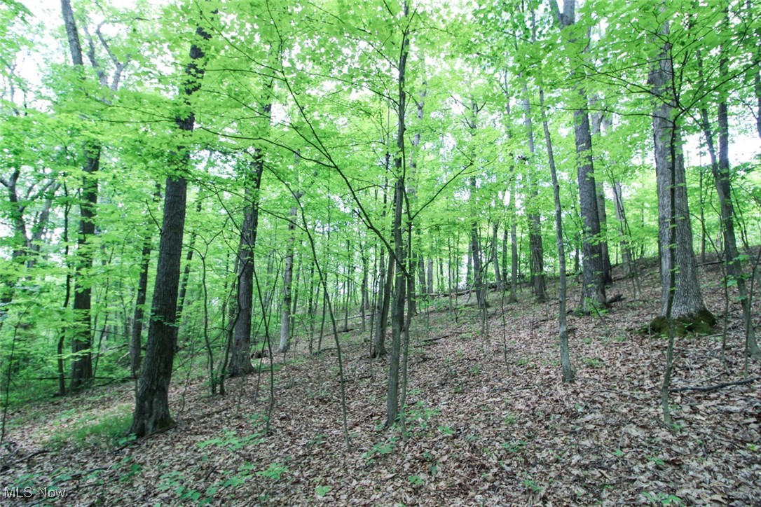 19 Zion Ridge Road Marietta, OH 45750 - Photo 10 of 19 View of nature