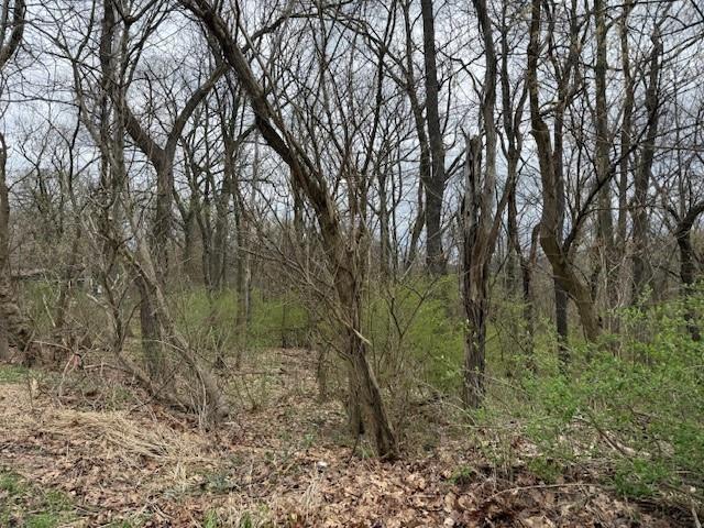 1765 Locust Road Sewickley, PA 15143 - Photo 19 of 19 a view of a forest with trees in front of it