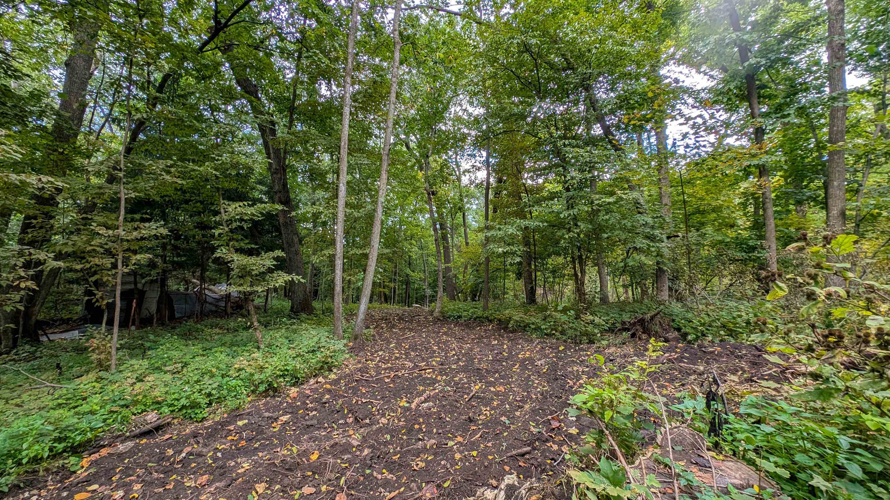 2222 County Road Y Mineral Point, WI 53565 - Photo 5 of 13