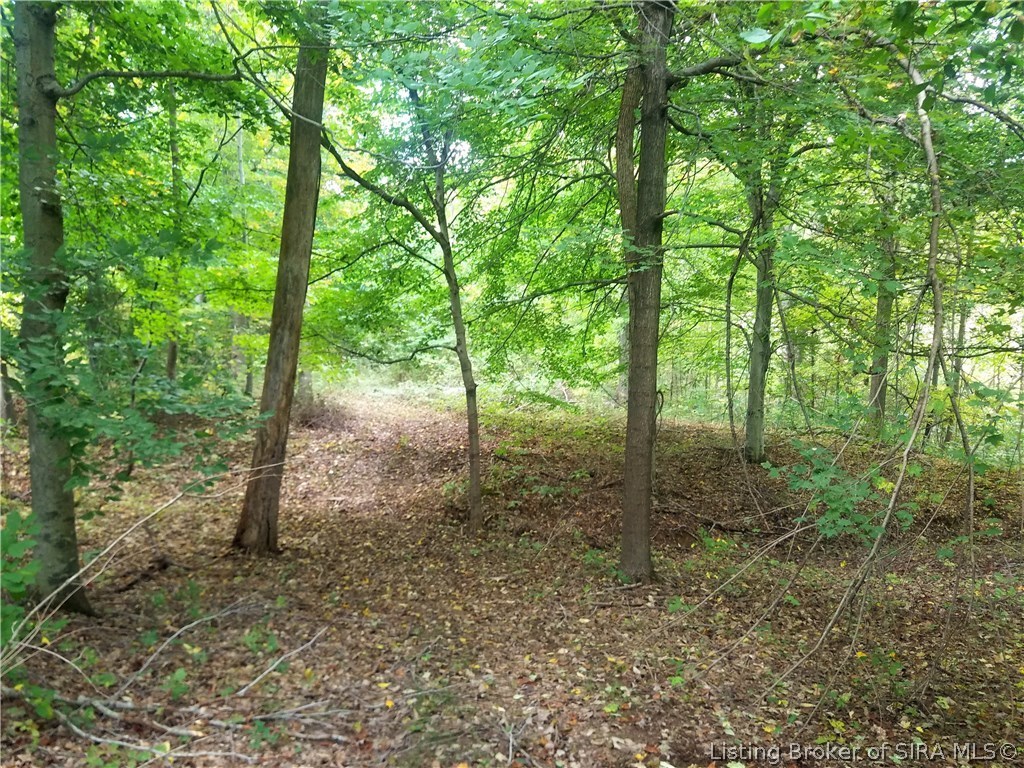 East New Cut Road Scottsburg, IN 47170 - Photo 16 of 29 Gallery Image 16