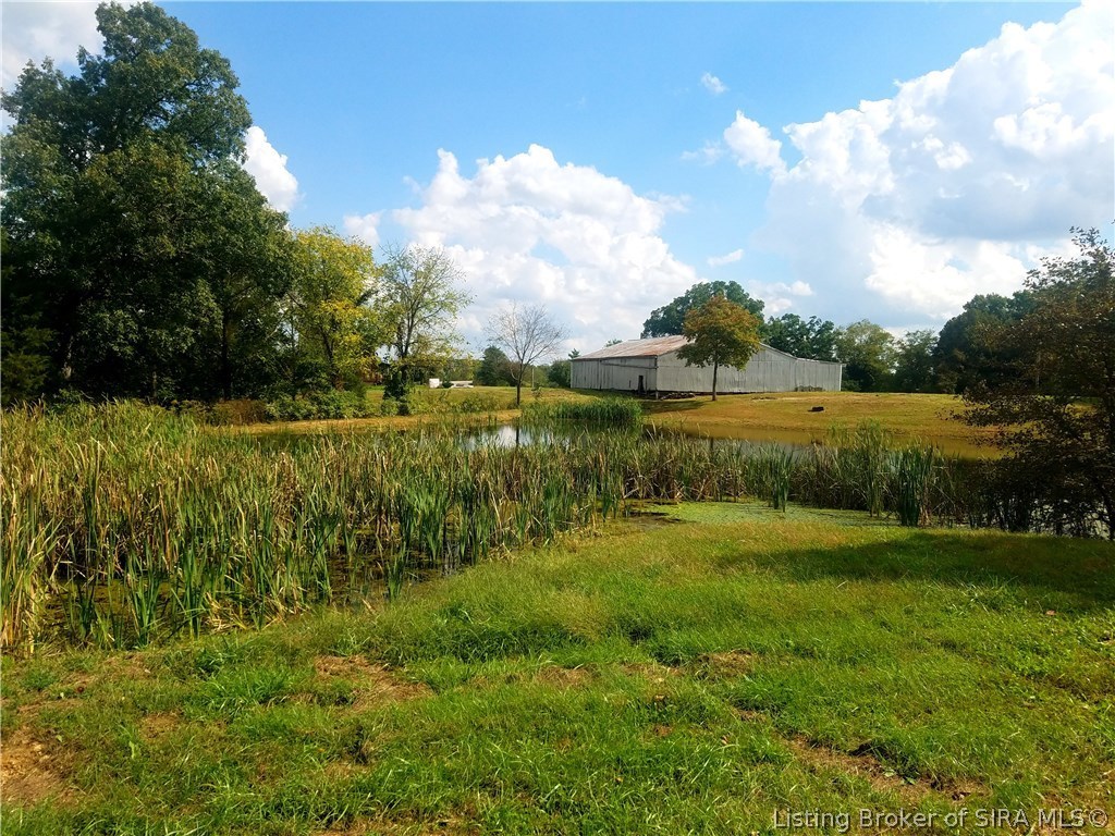 East New Cut Road Scottsburg, IN 47170 - Photo 9 of 29 Gallery Image 9