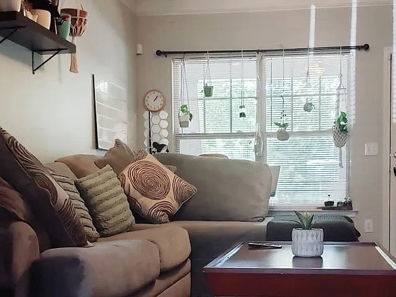 105 4th Avenue, Unit 106 Murfreesboro, TN 37130 - Photo 3 of 6 a living room with furniture and large window