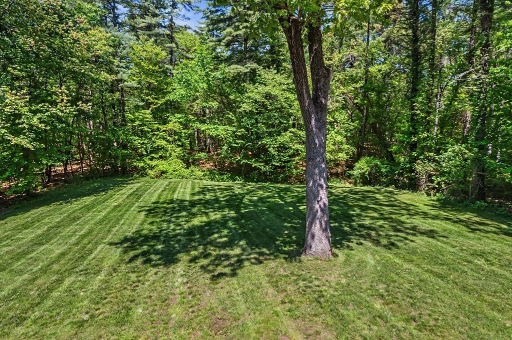 55 Wilson Pond Road Rowley, MA 01969 - Photo 25 of 30