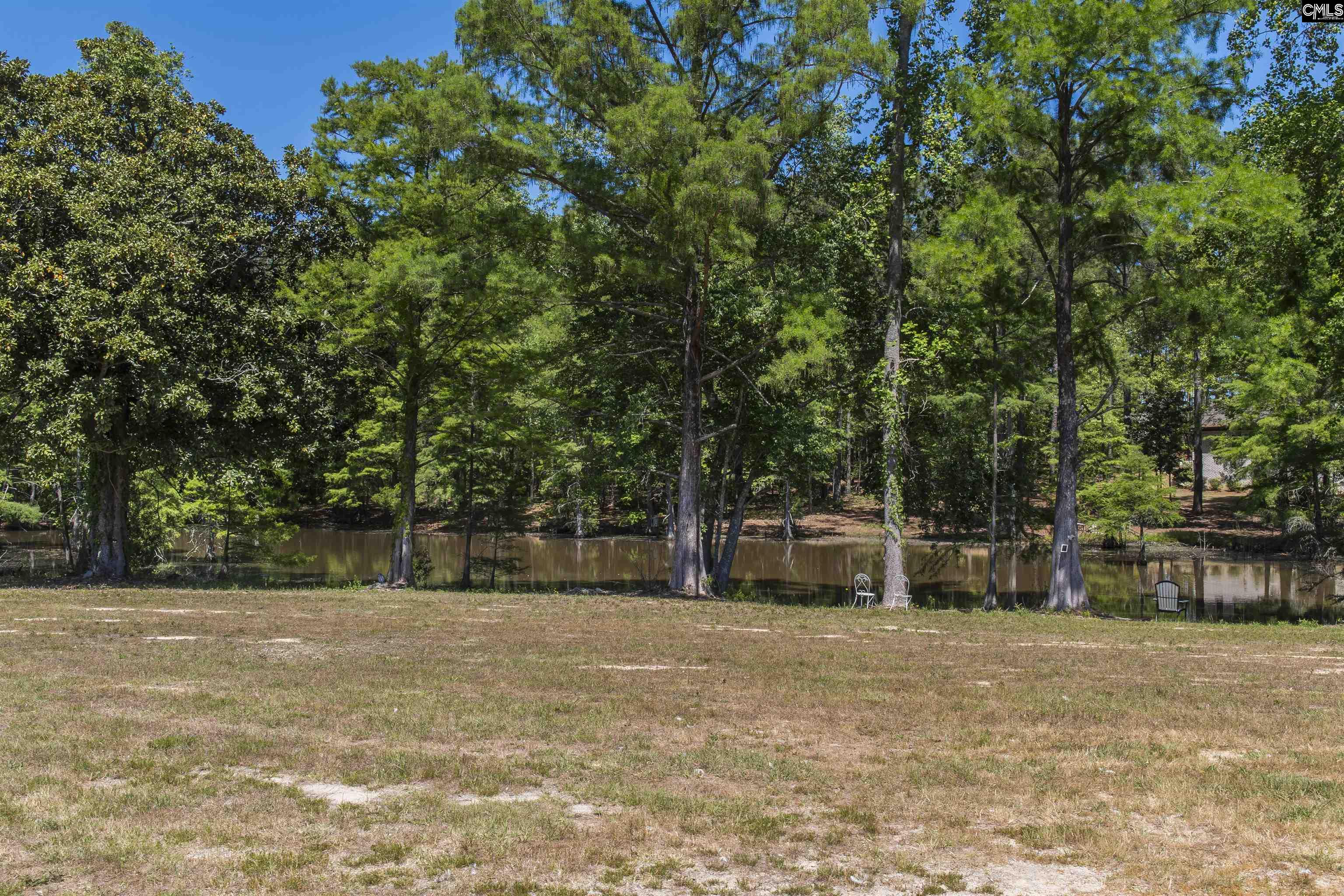169 Shumpert Road West Columbia, SC 29172 - Photo 52 of 54