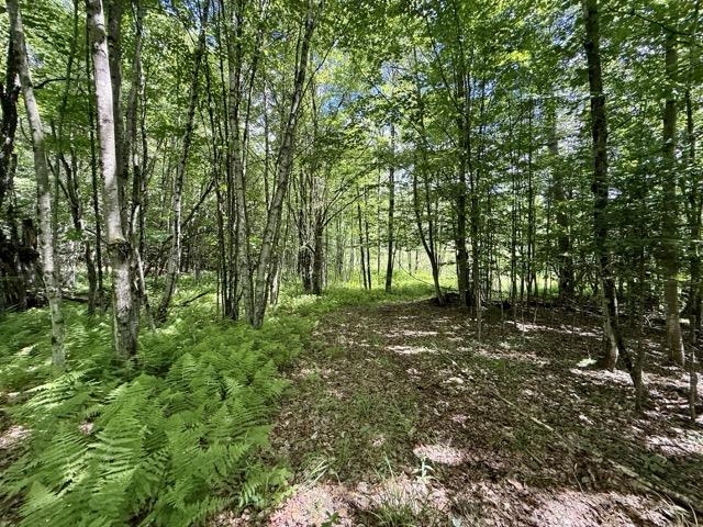 0 Battle Row Road Hyde Park, VT 05655 - Photo 8 of 19
