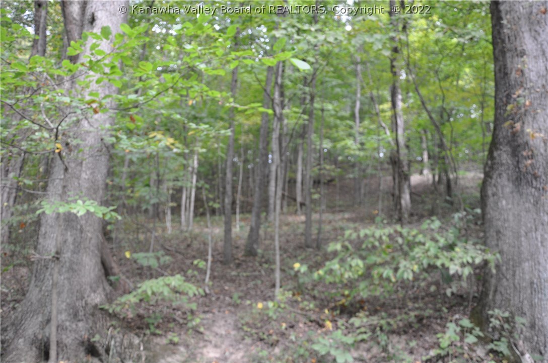 0 Fuquays Creek Road Sod, WV 25564 - Photo 8 of 21 Gallery Image 8
