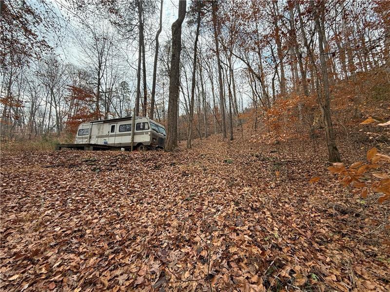 0 Falling Pines Road Dahlonega, GA 30533 - Photo 7 of 10