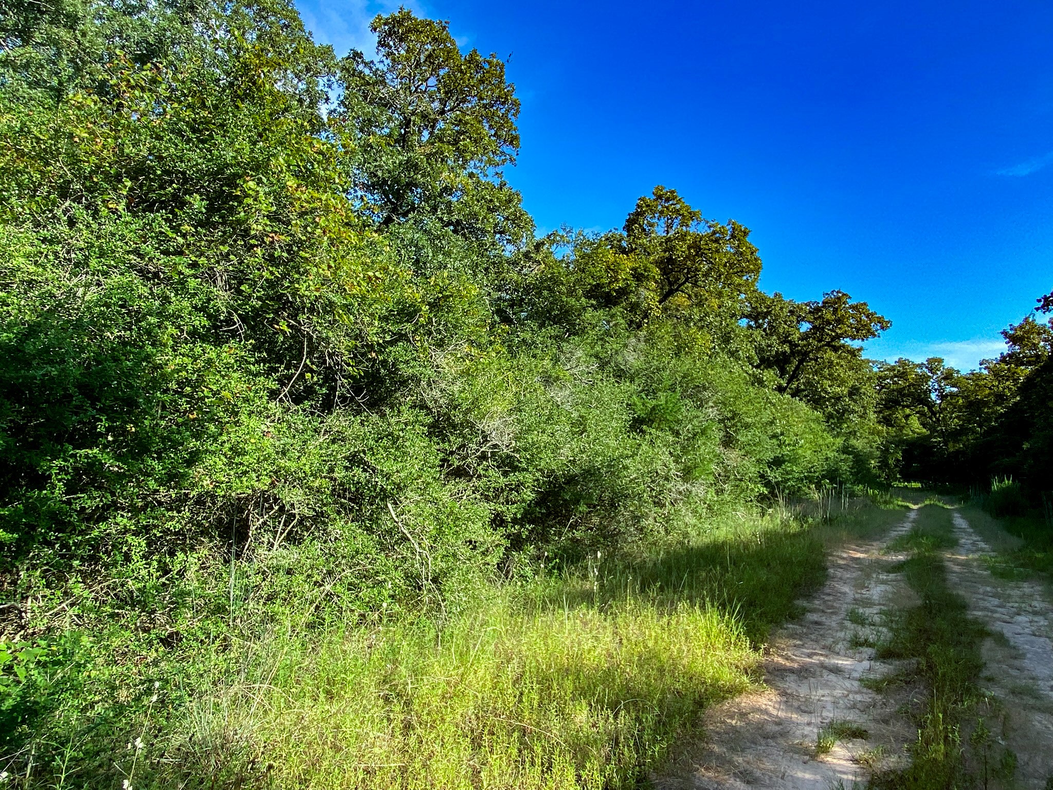 Lot 10 Ranch Road Normangee, TX 77871 - Photo 3 of 10 a view of a lake view with a garden