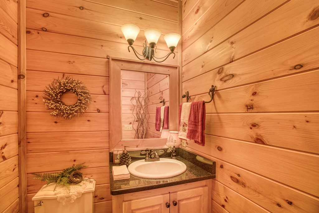 671 Stover Knob Trail Cherry Log, GA 30522 - Photo 23 of 89 a bathroom with a sink and a mirror