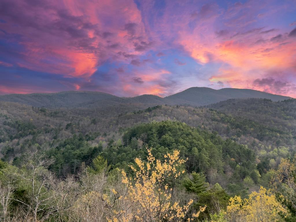 671 Stover Knob Trail Cherry Log, GA 30522 - Photo 58 of 89 a outdoor view of mountains and valleys