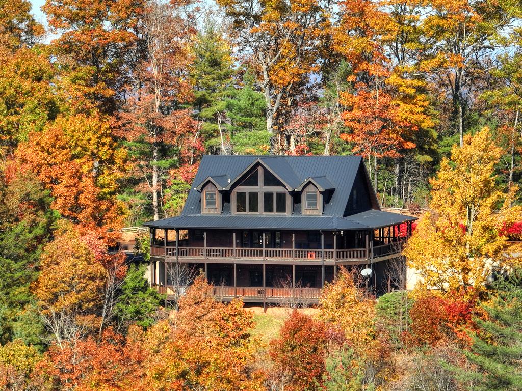 671 Stover Knob Trail Cherry Log, GA 30522 - Photo 63 of 89 front view of a house with a small yard